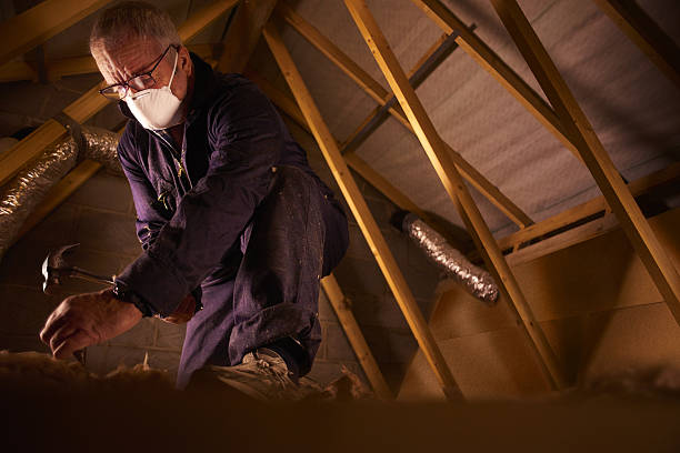 Types of Insulation We Offer in Tuskegee, AL